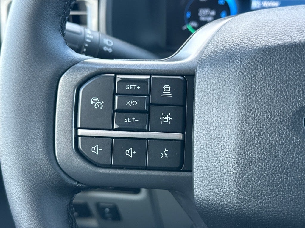 2025 Ford F-150 Lightning Flash™