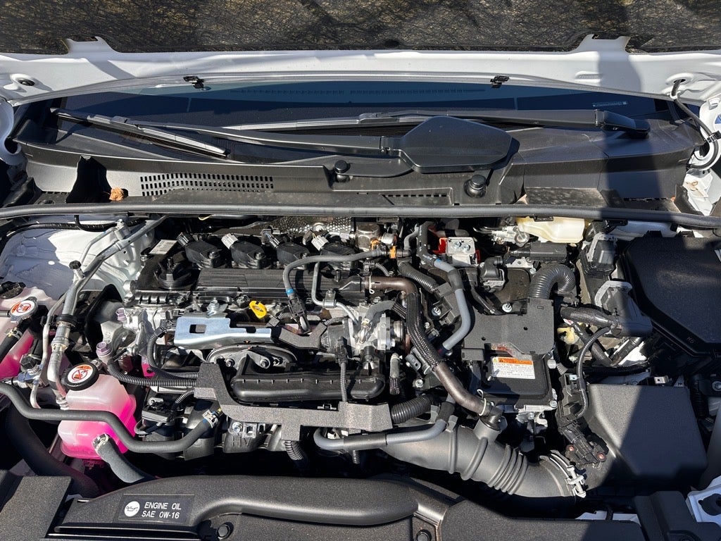 2025 Toyota Prius XLE