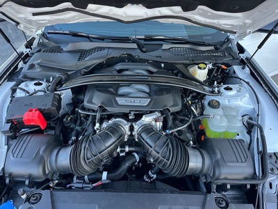 2025 Ford Mustang Dark Horse