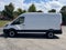 2026 Ford Transit 250